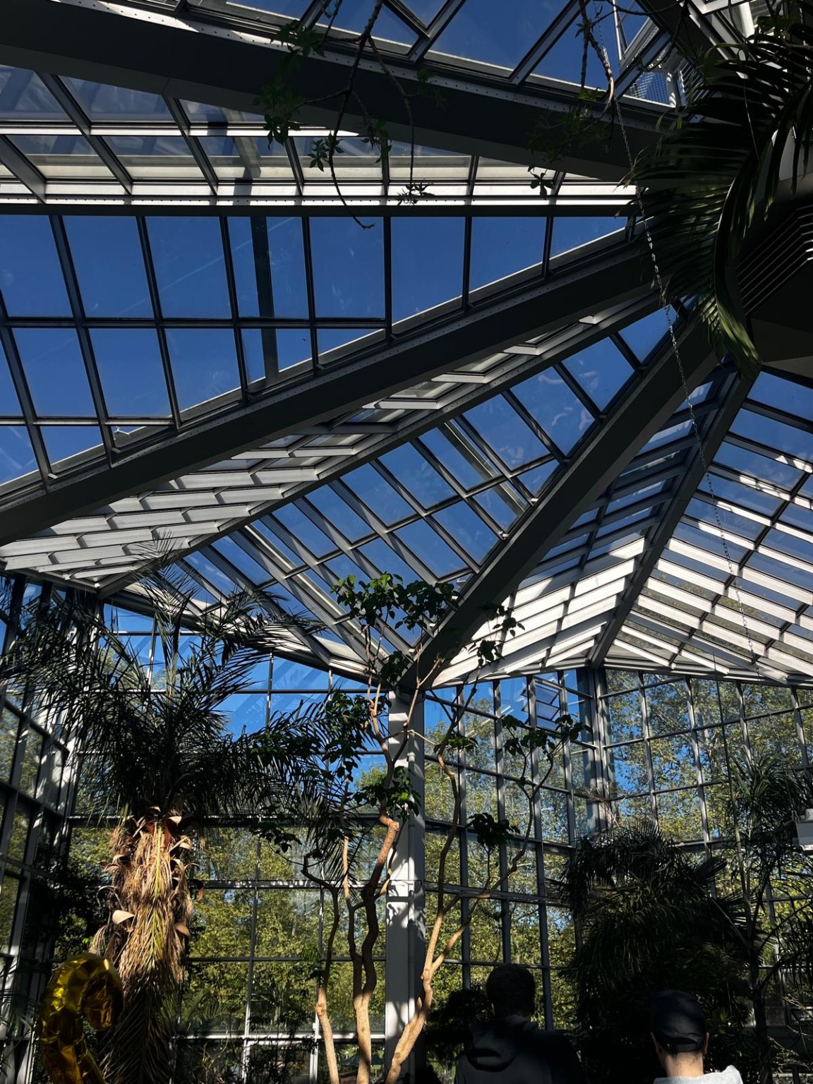 Invernadero del Palmengarten